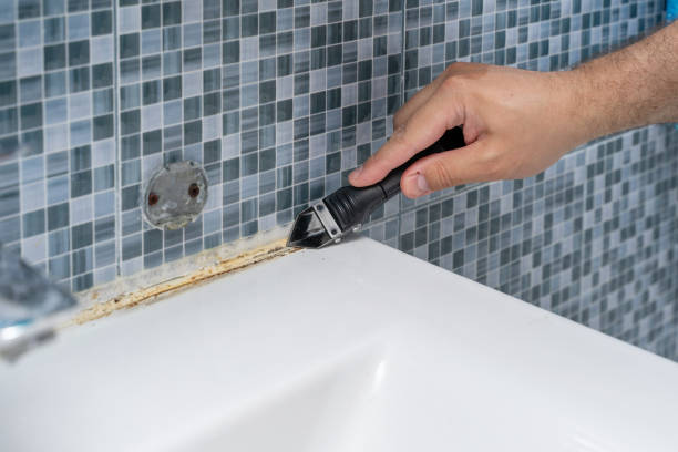 Best Mold Testing  in La Porte, TX