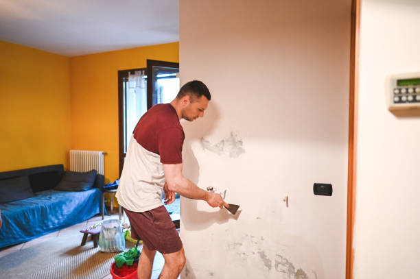 Best Affordable Mold Removal  in La Porte, TX
